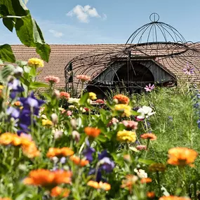 Bild von Gartenkultur Daniel Ruprecht AG