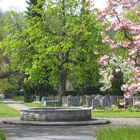 Bild von Gartenkultur Daniel Ruprecht AG