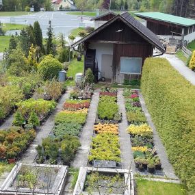 Gartenprofi Haslacher in Lurnfeld