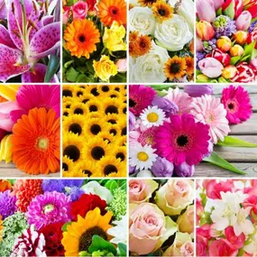 Pasinger Blumenecke