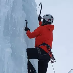 Bild von Vivamont Ernst u. Christine Söllner