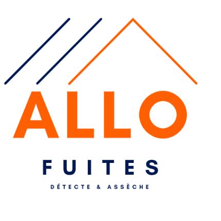 Logo van ALLOFUITES SA