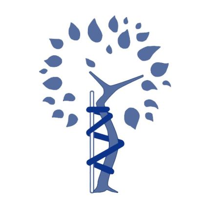 Logo from Dr.med. Felix Graf Stenbock-Fermor
