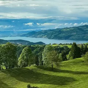 Bild von Einwandern Schweiz