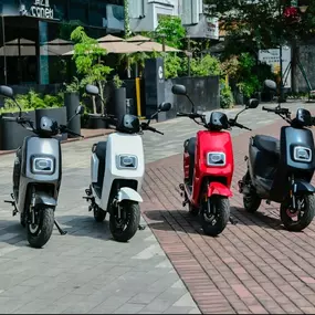 E-scooter und E Shopper in Basel kaufen, ausprobieren, test. Der Profi in Elektromobilität und 2 Rad