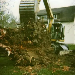 Bild von Schilling Ulmer Baumpflege & Gartengestaltung