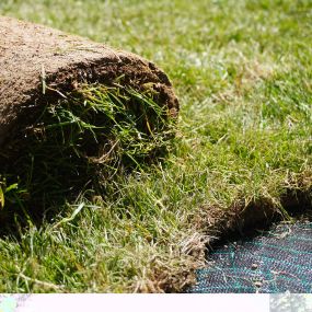 Bild von Nils Bachmann Garten- & Landschaftsgestaltung