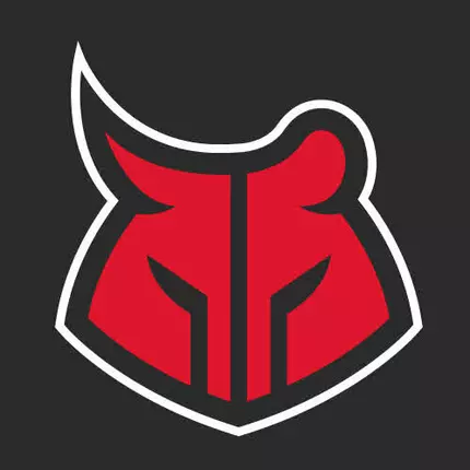 Logo from CrossFit Bulls and Bears - CrossFit in Frankfurt