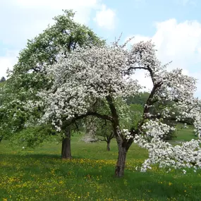 Bild von Heiterhof