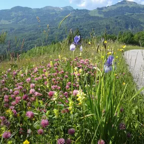 Bild von Heiterhof