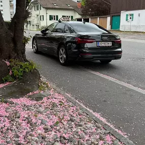 Taxi Rednose - Rahman Ügür 6890 Lustenau