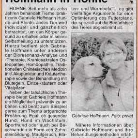 Bild von TierHeilpraktik Hoffmann Gabriele Hoffmann Tierheilpraktikerin für Hunde und Pferde seit 2010