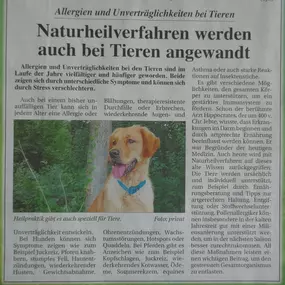 Bild von TierHeilpraktik Hoffmann Gabriele Hoffmann Tierheilpraktikerin für Hunde und Pferde seit 2010