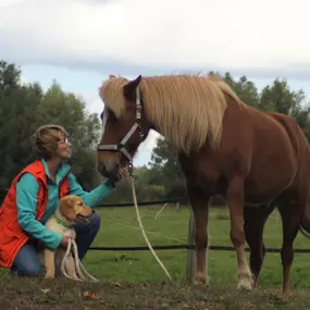 Bild von TierHeilpraktik Hoffmann Gabriele Hoffmann Tierheilpraktikerin für Hunde und Pferde seit 2010