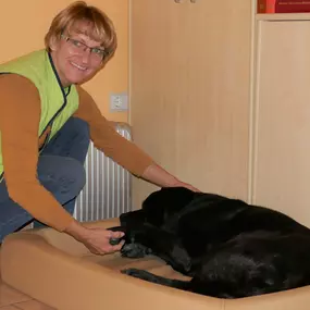 Bild von TierHeilpraktik Hoffmann Gabriele Hoffmann Tierheilpraktikerin für Hunde und Pferde seit 2010