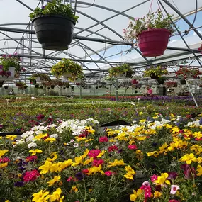 Bild von Gärtnerei Schliebener eGbR