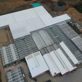 Bild von Gärtnerei Schliebener eGbR