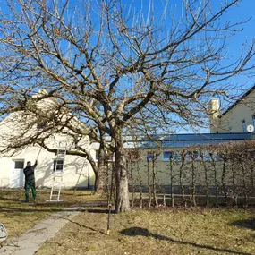 Bild von Garten- und Landschaftsbau Joachim Drexler