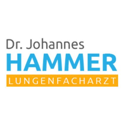 Logo fra Dr. Johannes Hammer - Lungenfacharzt