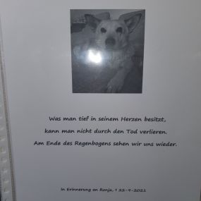 Bild von Tierbestattung André Kuth - Trauer  mit Herz