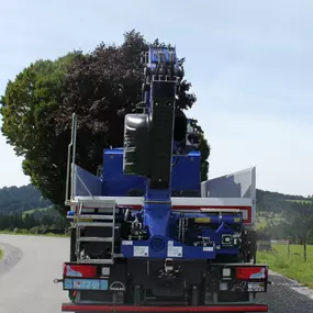 Willi GmbH in 6861 Alberschwende
Kipper Willi