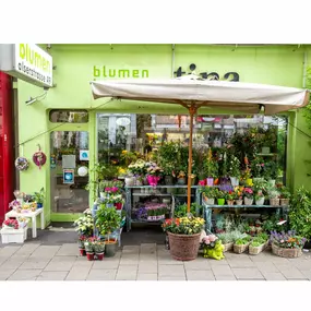 Bild von Blumen Kreativ