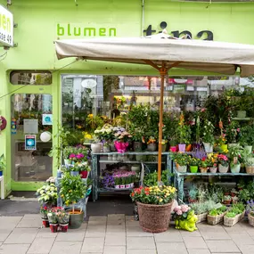 Bild von Blumen Kreativ