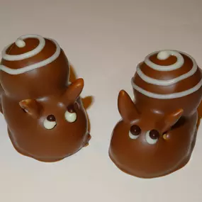 Bild von Zeller Chocolatier SA