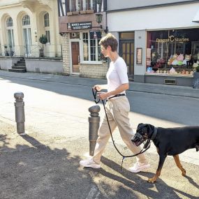 Bild von Katrin Salzsieder - Coaching für Mensch und Hund