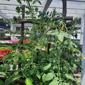 Gärtnerei Messner  9112 Griffen