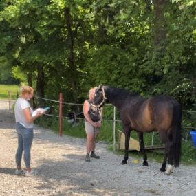 Dipl. Kinesiologine Nina Gaubinger - für Mensch und Tier - Pferdegestütztes Coaching