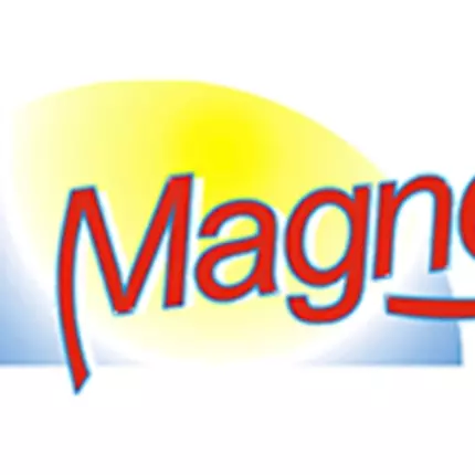 Logo da Magney Fe-Ro-Ma GmbH