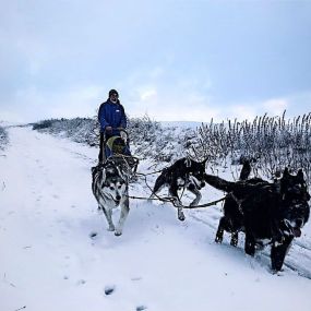 Bild von Huskystadl Waldviertel