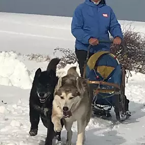 Bild von Huskystadl Waldviertel