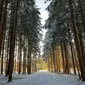 Bild von Huskystadl Waldviertel