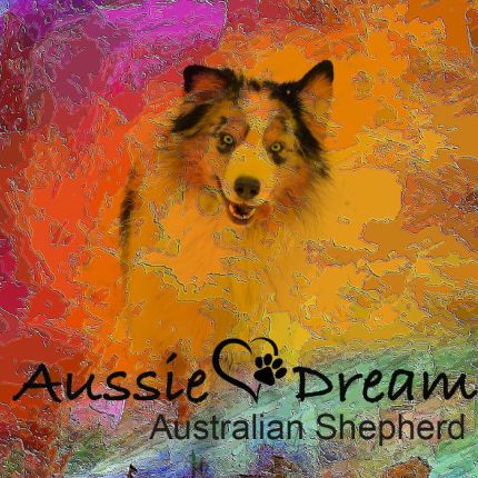 Logo from Aussie Dream & Mini American Dream