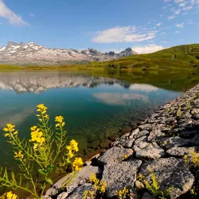 Bild von Elektrizitätswerk Obwalden