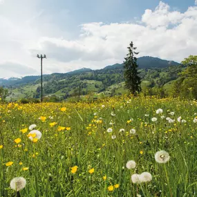 Bild von Elektrizitätswerk Obwalden