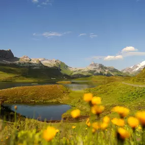 Bild von Elektrizitätswerk Obwalden