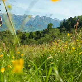 Bild von Elektrizitätswerk Obwalden