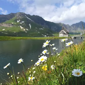 Bild von Elektrizitätswerk Obwalden