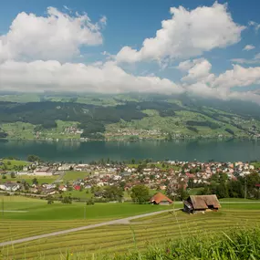 Bild von Elektrizitätswerk Obwalden