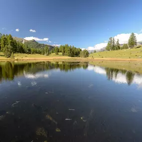 Bild von Hotel-Garni Panorama