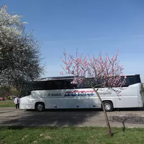 Bild von Bürki, Reisen + Transporte