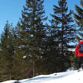 Tiroler Skischule Sport Aktiv Seefeld