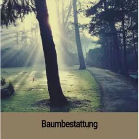 Bild von Gothaer Bestattungsinstitut GmbH Filiale Waltershausen