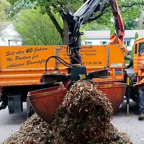 Bild von Urban Münchner Baumpflege GmbH