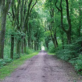 Bild von Urban Münchner Baumpflege GmbH