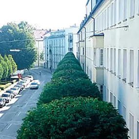 Bild von Urban Münchner Baumpflege GmbH