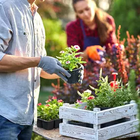 Bild von Gartenbau Stefan Lampert